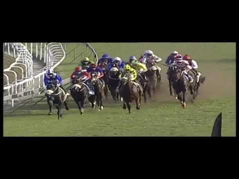 2017.07.01 Durban Golden Horseshoe (RSA) - Purple Diamond