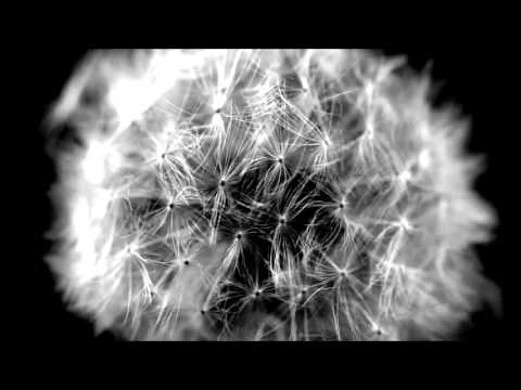 kreativephasen (Berlin) - # demo mix 122 (DubTechno)