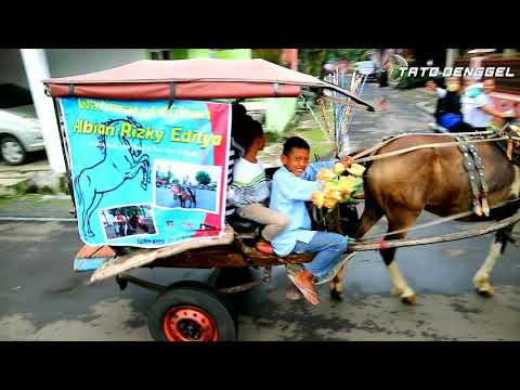 Pak Jarwo Narik Kuda Delman MINGGIR MINGGIR - ANAK SULTAN SUNAT ARAK ARAKAN KUDA KELILING KAMPUNG