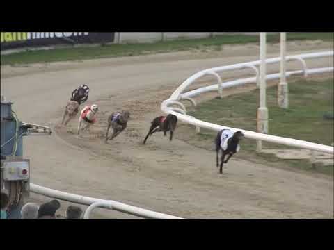 2018 ANGEL OF NORTH - HEAT 3 - T3 TEA FOR TESS