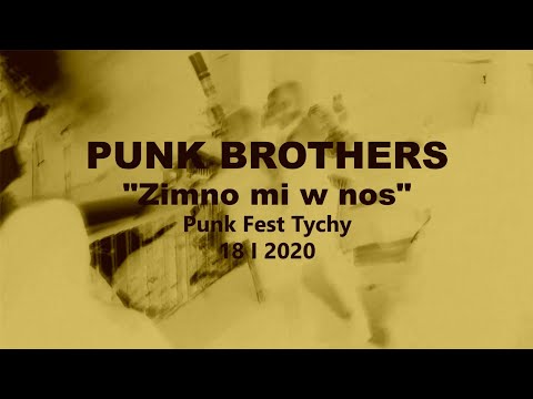Punk Brothers - Zimno mi w nos (Punk Fest Tychy 2020)