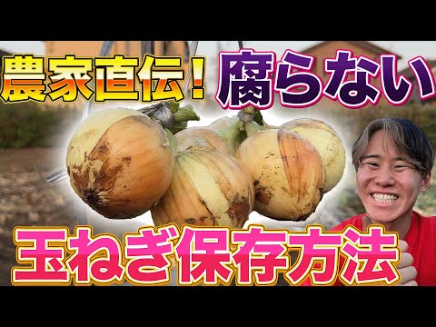 タマネギの皮で堆肥を作る 植物のテラスガーデン