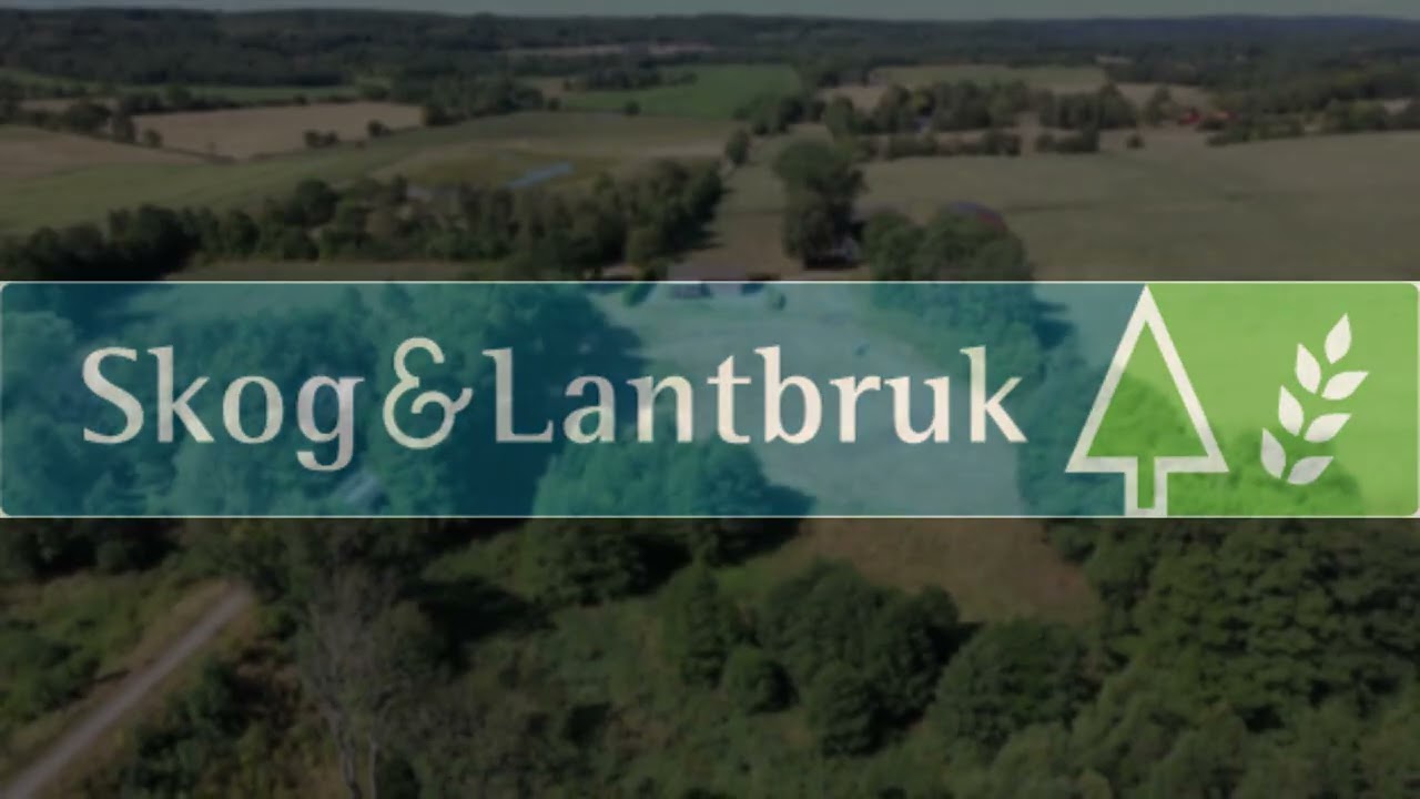 Gård/skog på Ljungens väg 126 Kristianstads kommun - video