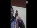 පැන මඩ කඩිති Pana Mada Kadithi Esraj Cover Dhanushka Wansekara