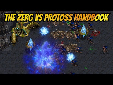 Mepo vs How - He showed us all how to do it!