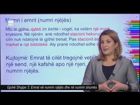 Gjuhë Shqipe 3 - Emrat në numrin njëjës dhe në numrin shumës