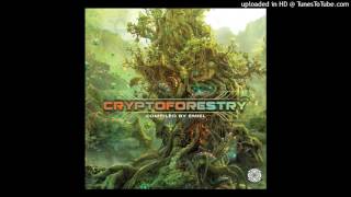 Makumba & Confo - Rolling Crickets