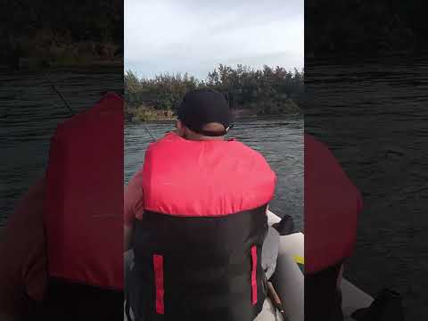 Padre & Hija disfrutando el río Tolten en la Araucanía 🎣