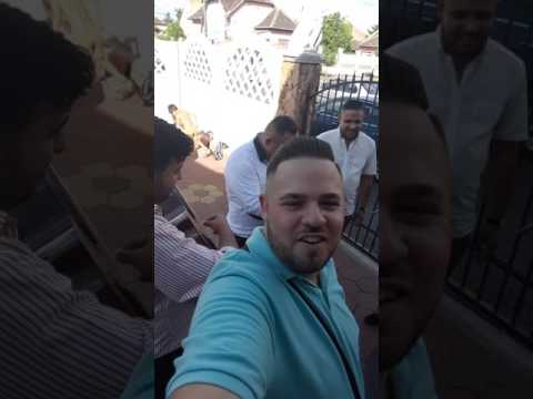 Aranyszemek Dani & Csury 2017 Jáno Józsi szabadulása