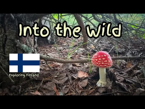Into the Wild || Exploring Finland || Intro|| @MiniStories