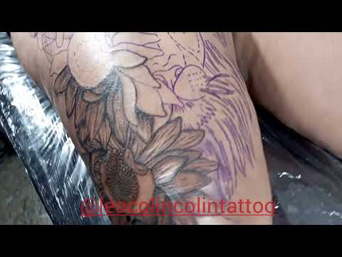 Linda tatuagem de Leão com girassol borboleta tattoo iniciando tatuagem floral Leo Colin tattoo