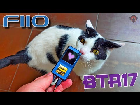 Bring EVERYTHING Outside \\ FiiO BTR17