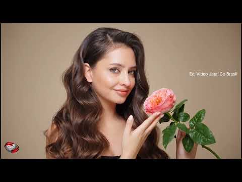 Galvão e Galvãozinho - Rosa Perfumada.