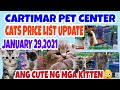 CARTIMAR PETSHOP MANILA PHILIPPINES CATS FOR SALE W/BREED AND PRICE UPDATE 01-30-21.vlog#137