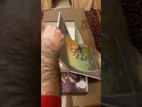 Unboxing Cerebria: The Inside World (No Talking)