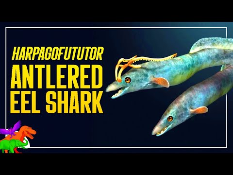 Prehistoric Duck-Faced Antlered Eel Sharks Before the Dinosaurs | Harpagofututor
