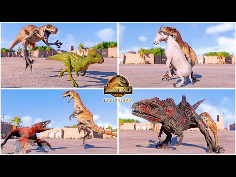 Tiger Atrociraptor All Perfect Animations & Interactions 🦖 Jurassic World Evolution 2 Dominion Malta