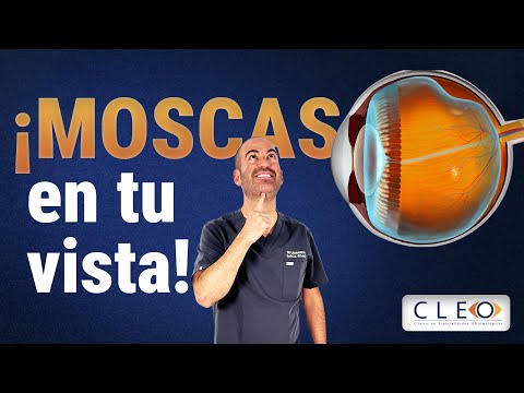 Leonardo García-Rojas Castillo-37