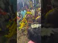 Sri Thadikara Swami Kovil Kodai Thoothukkudi Kovil Kodai Shorts Kovil Thoothukudi Kovil Kodai
