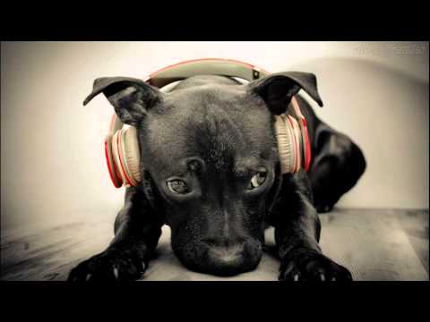 Alex Justino Thomaz Krauze feat Stee Downes  We Can Get It (Original Mix)