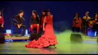 Dance FLAMENCO Lyon Danse Lesson Cours Al Andalus Baile Gitano Gitan Couple Duo Danse