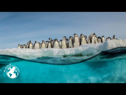 Gombessa 3 expedition - Episode 01