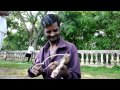 The Mysore Rebab Player