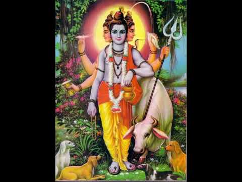 Dutt Bavni in Gujarati ~ Jay Yogeshwar dutt dayal