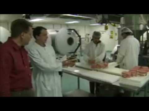 Organic, All-Natural Pet Food: America's Heartland Series