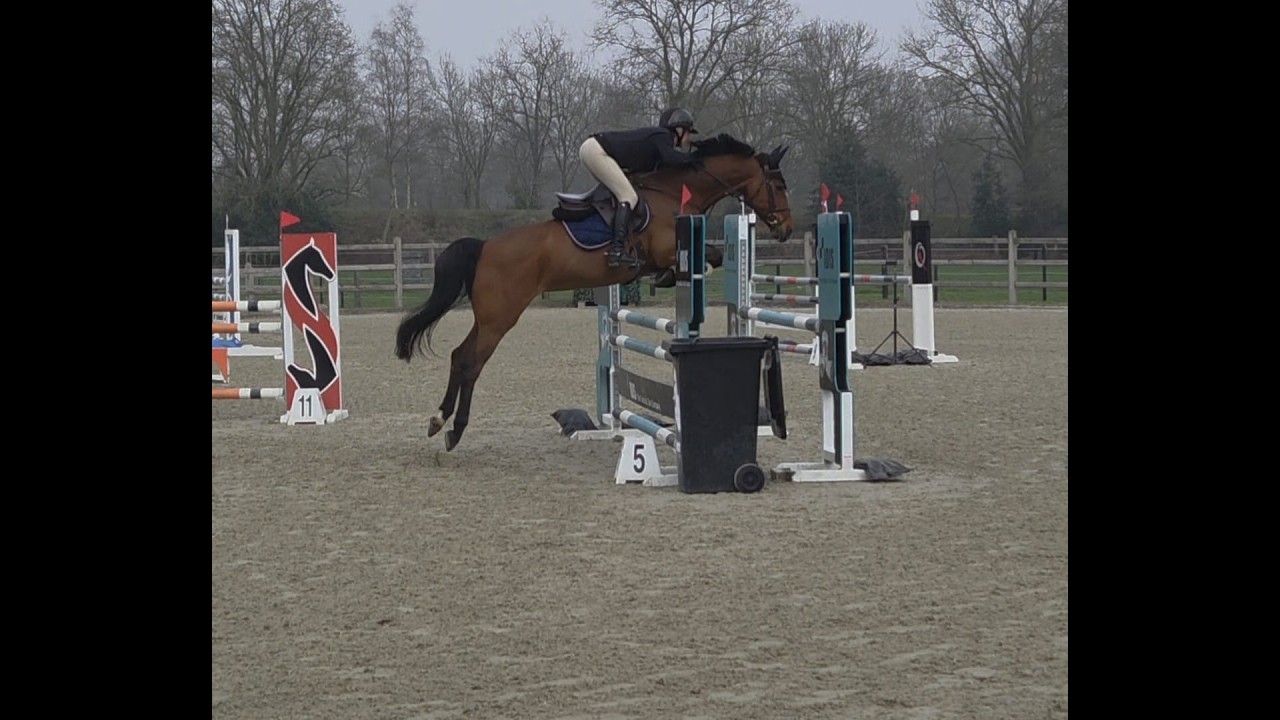 O'Chapeau MB ☆ (CHAPEAU TN x CAROMBOLE) video 2