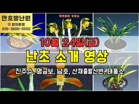 유튜브 썸네일