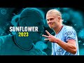 Erling Haaland 2023 ● Sunflower - Post Malone, Swae Lee | Speed Skills & Goals | HD