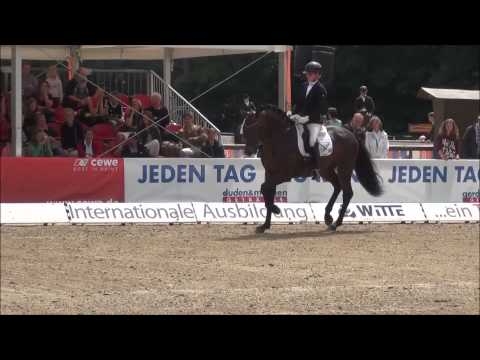 Fürst William von FÜRST WILHELM - Landesturnier Rastede 2015