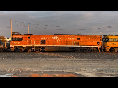 Pacific National NR115 NR22 NR30 1MP2 train Tottenham