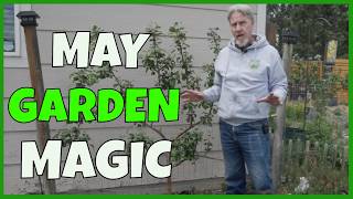 Garden Tour & Garden Growth (In the Garden 5-26)