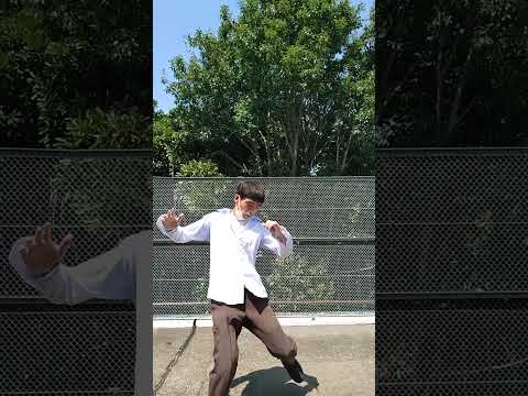 宮拳法三日月蹴りからカーフキック