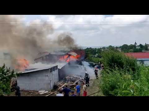incendiu salcea 18 06 2019