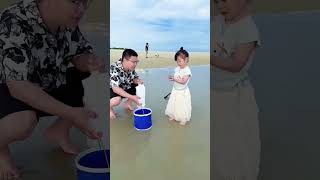Ракушки для школьного проекта