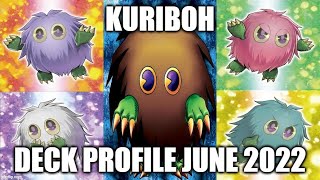 KURIBOH DECK PROFILE (JUNE 2022) YUGIOH!