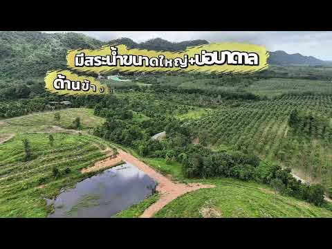 Land for Sale: 121 Rai near Na Yai Am Intersection, Chanthaburi. Frontage on two paved roads, with e, Chanthaburi, Na Yai Am, Chanthaburi, , 194,579 sqm, Land For Sale, by สุเทพ พสุวณิชย์กุล, 500511709 - DDproperty.com