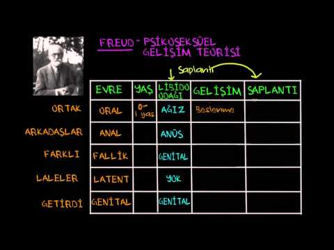 Freud'un Psikoseksüel Gelişim Teorisi (Sosyoloji / Bireyler ve Toplum)