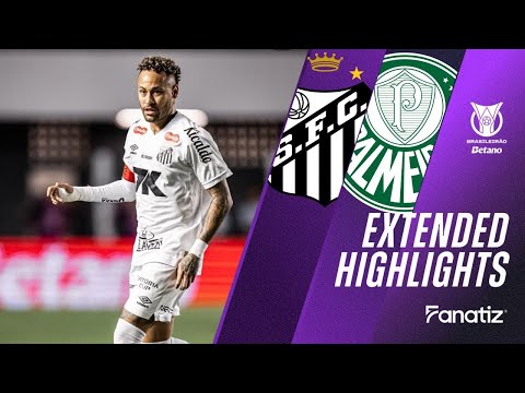 Santos vs Palmeiras 1-0 I Game Highlights I Brasileirão 2025