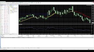 FX自動売買XM生放送配信！