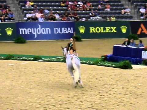 101008 WEG2010_techtest_kowald