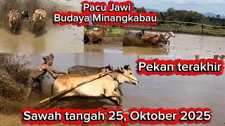 Download lagu Pacu jawi🏆🏆🏆 budaya Minangakabau ❗️❗️❗️ pekan terakhir, sawah tangah 25, Oktober 2025 mp3 Download lagu Pacu jawi🏆🏆🏆 budaya Minangakabau ❗️❗️❗️ pekan terakhir, sawah tangah 25, Oktober 2025 mp3