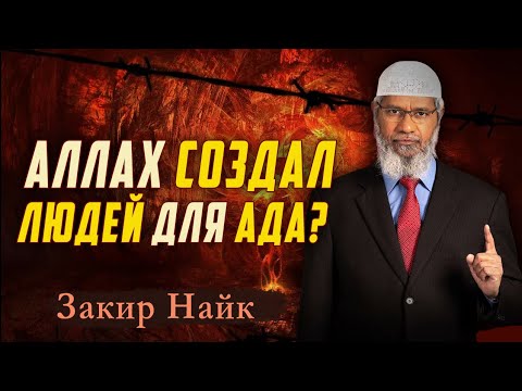 Почему Аллах создал людей, зная, что они попадут в Ад? 