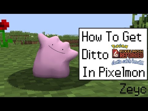 Pixelmon How To Get Ditto