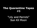 "Lily and Parrots" - Sun Kil Moon