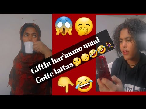 Akkas jedhamtani bektu?🙄😏🤣🤣🤣#entertainment #ethiopianews  #oromo_best_vine #oromo_tiktok #habash