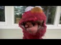 Elmo World Wild Animals Question